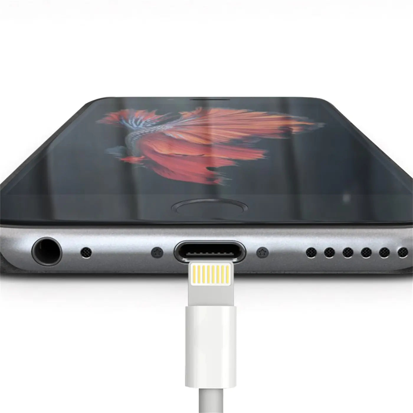 iPhone 6s Plus/6 Plus Unterseite mit Ladeanschluss und weißem Lightning-Kabel.