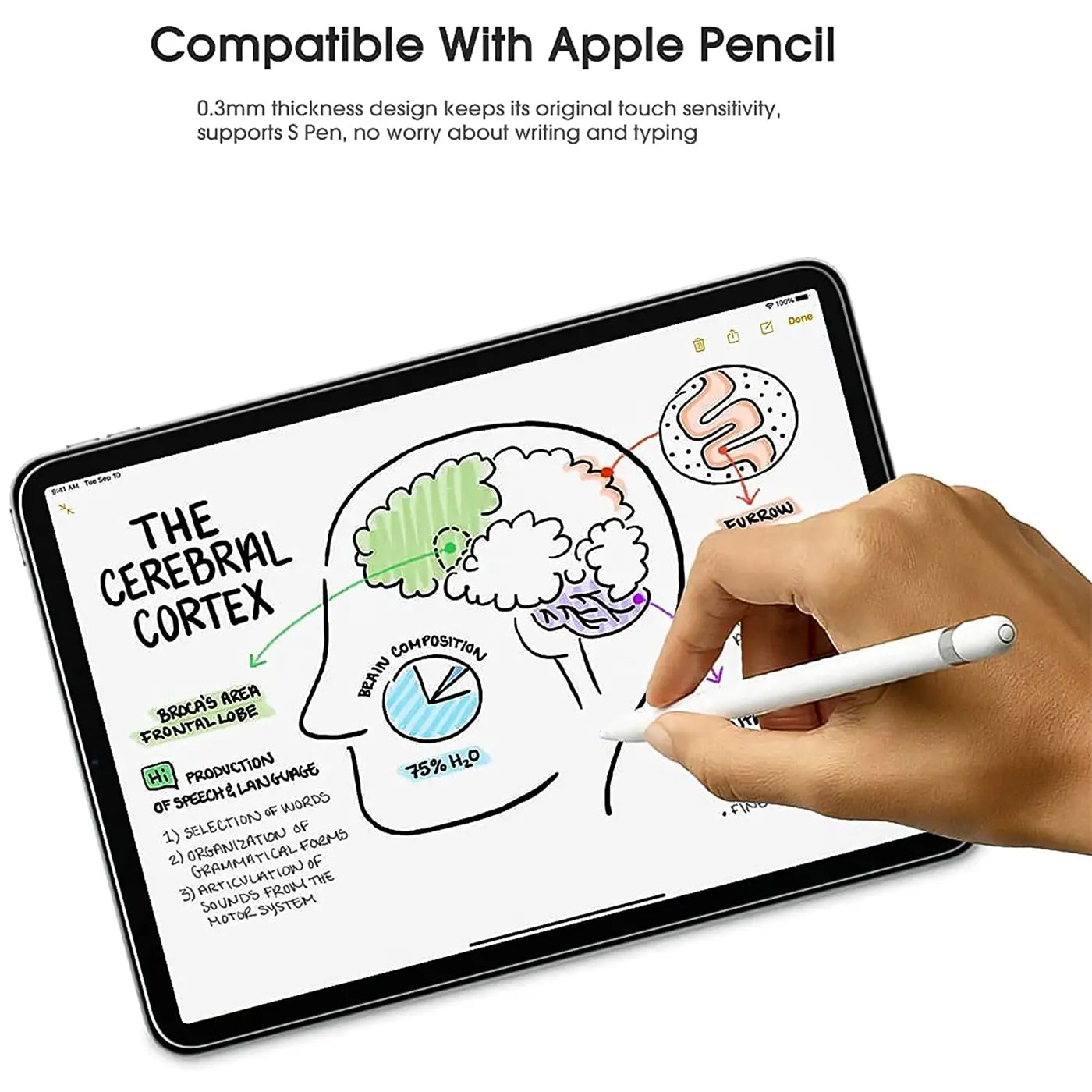 Ein iPad mini (6. Gen.) mit schwarzem Rahmen, von oben rechts gesehen. Eine Hand schreibt mit einem weißen Apple Pencil auf.