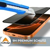 EZ.Box Schutzglas für iPhone 14 Pro Max mit Blickschutz – Einfache Installation.