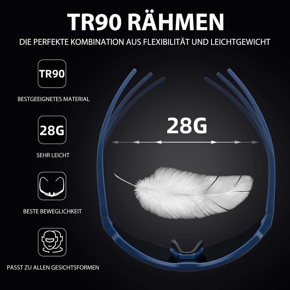 Rockbros Fahrradbrille mit 4 Wechselgläsern Schwarz