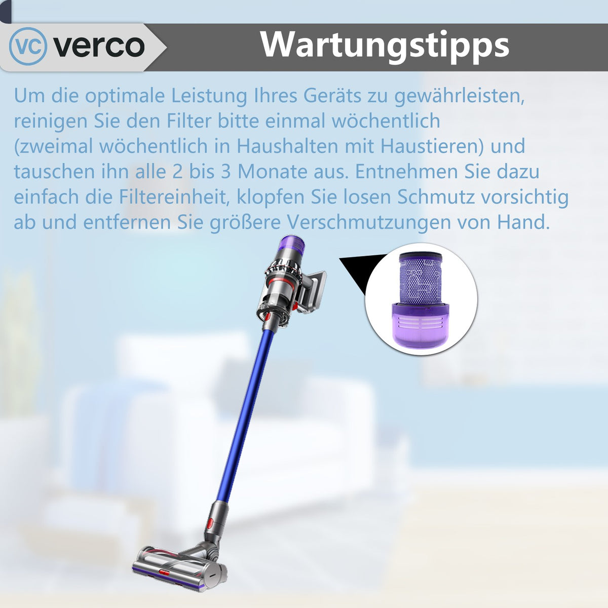Dyson V12 Slim Zubehör-Set – Ersatzfilter V12 Detect Slim Absolute